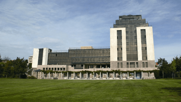 Joana Dias concorre pela CDU a S. Jo&atilde;o da Madeira com foco nas casas e impostos