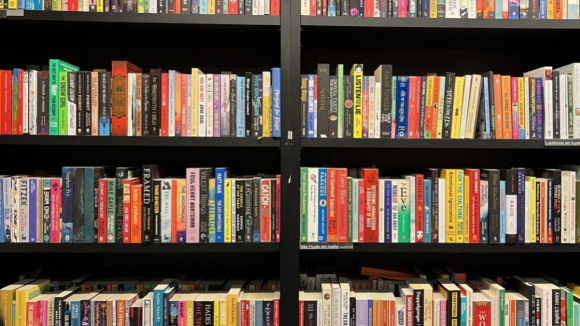 PS critica fus&atilde;o de Plano de Leitura e Bibliotecas em mega estrutura