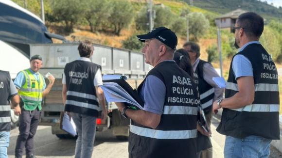 ASAE e Vinhos Verdes controlam autenticidade das uvas durante vindimas