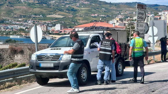 Fiscaliza&ccedil;&atilde;o refor&ccedil;ada durante as vindimas no Douro