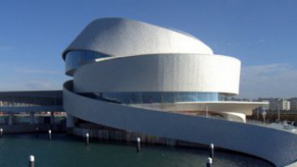 Algas marinhas do Norte s&atilde;o arma para mitigar altera&ccedil;&otilde;es clim&aacute;ticas