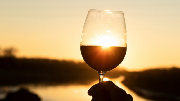 Port Wine Fest leva vinhos, gastronomia e cultura portuguesa aos Estados Unidos