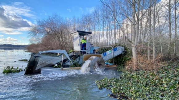 Nova ceifeira chegou a &Aacute;gueda para limpar a Pateira de jacintos-de-&aacute;gua