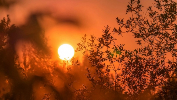 Setembro de 2025 foi o terceiro mais quente alguma vez registado