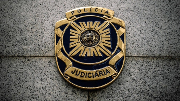 PJ detém suspeita de burla em arrendamentos de imóveis 'online' no Grande Porto