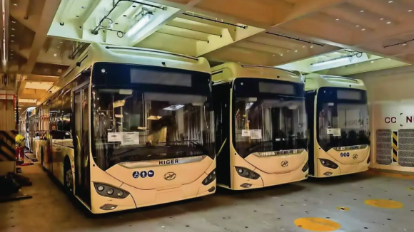 Viana do Castelo quer contratar mais 20 motoristas para assegurar transportes p&uacute;blicos