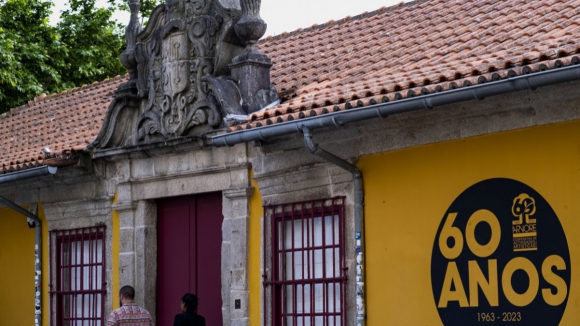 Cooperativa &Aacute;rvore no Porto apresenta exposi&ccedil;&atilde;o Armando Alves na &Aacute;rvore.