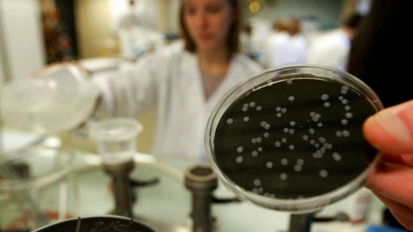 Bact&eacute;ria &acute;legionella&rsquo; detetada em balne&aacute;rios de pavilh&atilde;o de Oliveira do Bairro