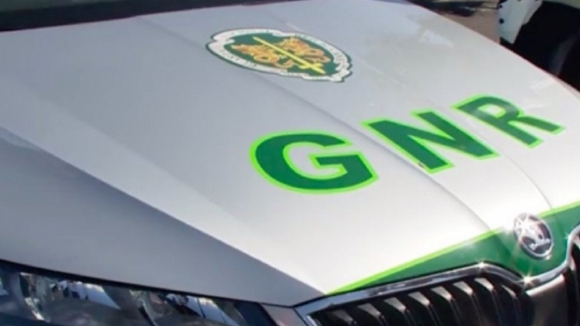 GNR encerra lar ilegal em Oliveira do Bairro