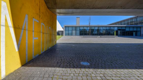 Investigadores da FMUP querem prevenir e reverter efeitos do stress cr&oacute;nico