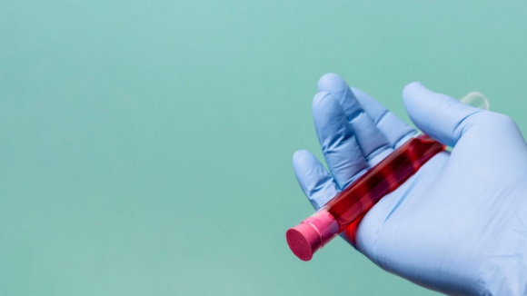 Portugal perde quase 10.000 dadores de sangue desde 2017 e regressa a n&iacute;veis pr&eacute;-pandemia