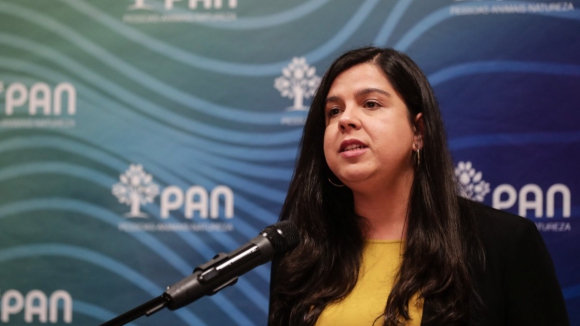 In&ecirc;s de Sousa Real vai recandidatar-se &agrave; lideran&ccedil;a do PAN
