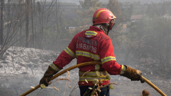 Volunt&aacute;rios mobilizam-se para a&ccedil;&atilde;o de refloresta&ccedil;&atilde;o na serra do Alv&atilde;o