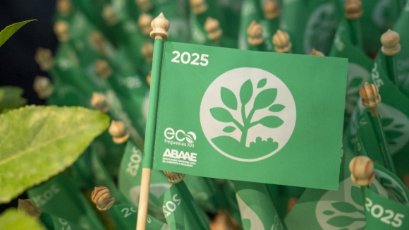 Bandeira verde por medidas de apoio &agrave;s fam&iacute;lias premeia este ano 115 munic&iacute;pios