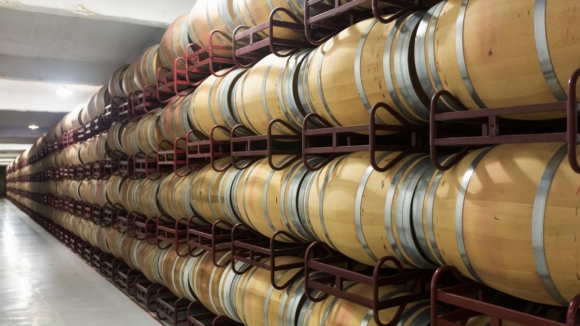 IVDP apresentou 50 reclama&ccedil;&otilde;es em 2024/2025 para proteger vinhos do Douro e Porto