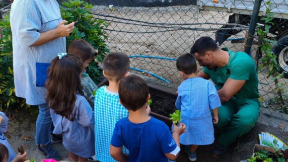 Projeto sobre educa&ccedil;&atilde;o alimentar j&aacute; envolveu 6.000 crian&ccedil;as de escolas de Amarante