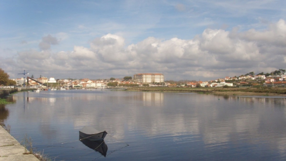 Vila do Conde assume remo&ccedil;&atilde;o de planta invasora no rio Ave e pede apoio estatal