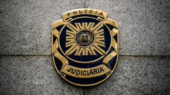 Detido suspeito de sequestro e roubo de idosa em &Iacute;lhavo