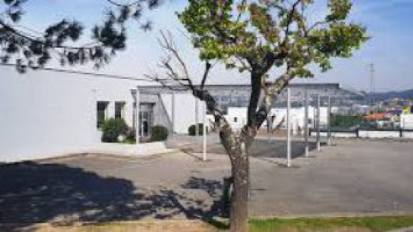 Alunos de Santo Tirso criam programa televisivo para recordar batalha em Negrelos