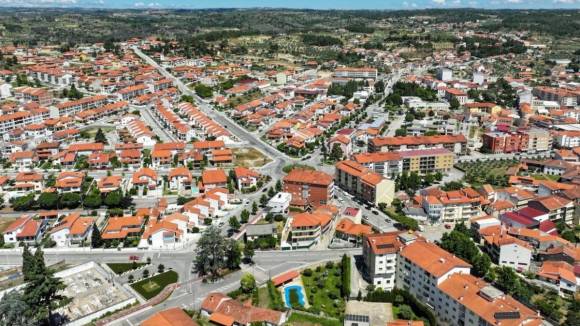 Valpa&ccedil;os Cidade Europeia Biol&oacute;gica incentiva renova&ccedil;&atilde;o geracional na agricultura