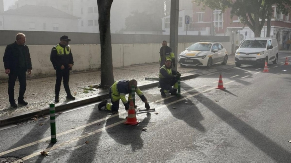 C&acirc;mara de Gaia retirou ciclovia da Av. da Rep&uacute;blica da candidatura a fundos europeus