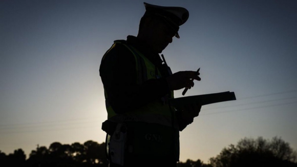 Operação "Portugal Sempre Seguro" fiscaliza 2228 estrangeiros em três dias e apanha 30 ilegais