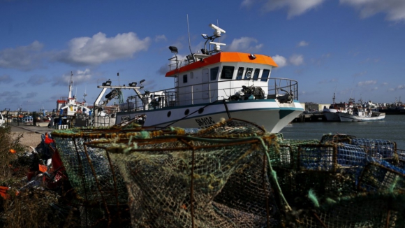 Maratona europeia das pescas termina com acordo positivo para Portugal, diz Governo