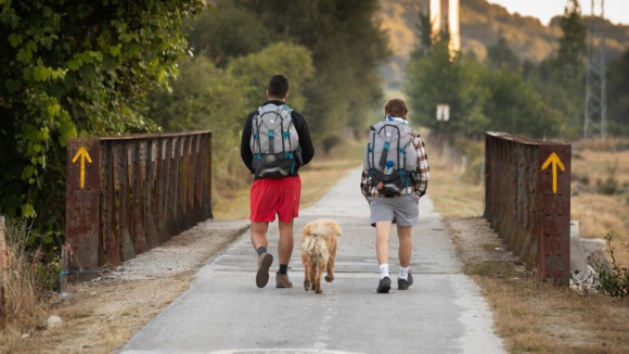 Caminho Portugu&ecirc;s de Santiago ultrapassou os 100 mil peregrinos em 2025