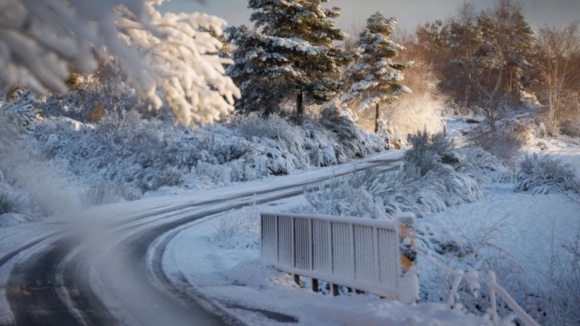 Seis distritos em aviso laranja para a queda de neve