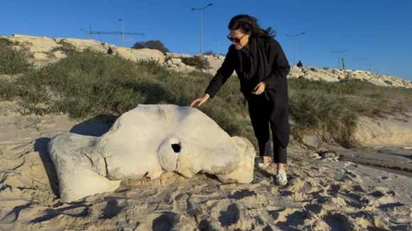 Osso de baleia com milhares de anos removido da praia para museu da Figueira da Foz