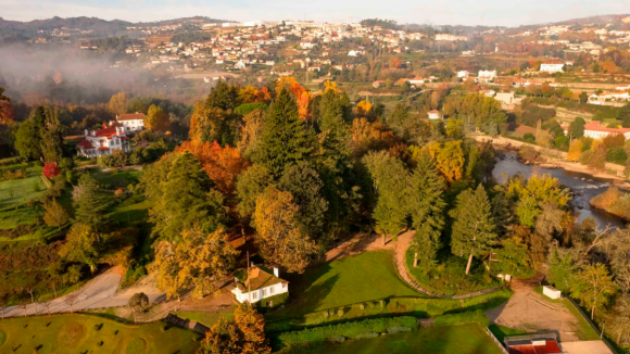 C&acirc;mara de Amarante poder&aacute; intervir &ldquo;de imediato&rdquo; em parque florestal gerido pelo Estado