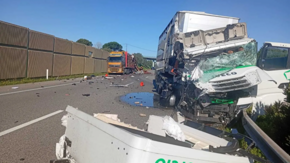 Acidente na A1 entre Aveiro Sul e Mealhada provoca fila de 16 quil&oacute;metros