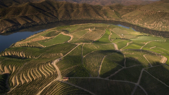 CIM Douro integra grupo de coordena&ccedil;&atilde;o dedicado ao plano de a&ccedil;&atilde;o para o Douro