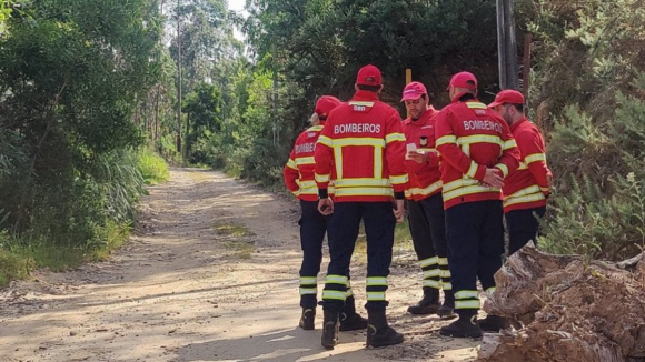 Arouca distingue 201 bombeiros com medalha de ouro