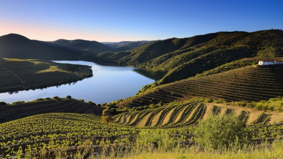 CIM Douro aprova 9,6 milh&otilde;es de euros em apoios do Norte 2030 para as empresas do territ&oacute;rio