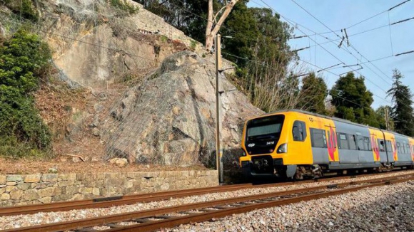 Retomada circula&ccedil;&atilde;o ferrovi&aacute;ria na Linha do Minho suspensa ap&oacute;s queda de &aacute;rvore