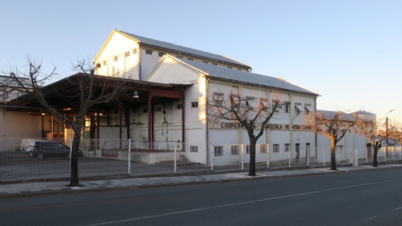 Venda da adega de Sendim em Miranda do Douro termina sem propostas