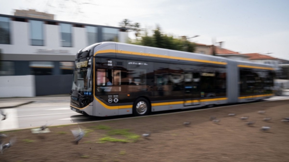 Fase experimental do metrobus do Porto dura um m&ecirc;s com frequ&ecirc;ncias de 10 minutos