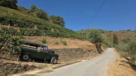 Produtora de vinhos investe 10 milh&otilde;es de euros no Douro e tem foco no mercado americano