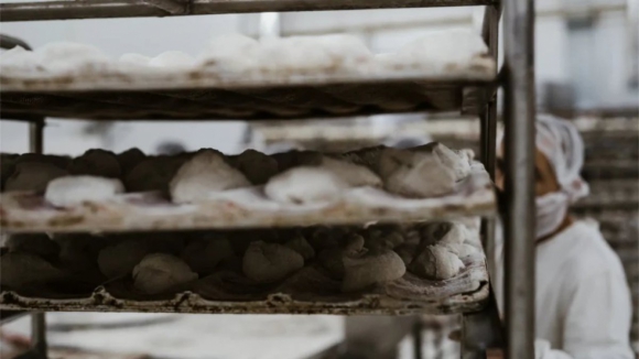 Grupo Celeste pede insolv&ecirc;ncia e deixa mais de 300 trabalhadores no desemprego