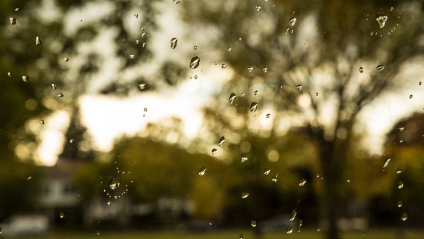 Chuva intensa provoca inundações e queda de muros em Famalicão 