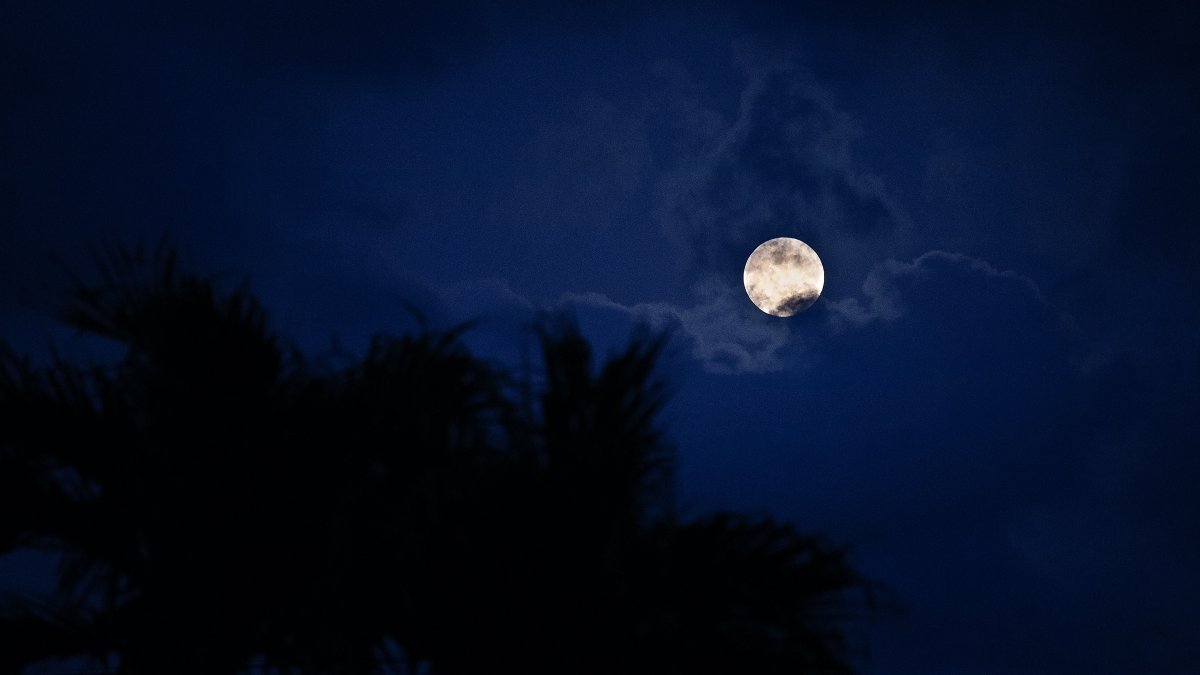 Superlua azul pode ser vista esta noite. Fenómeno raro também será visível  em Portugal